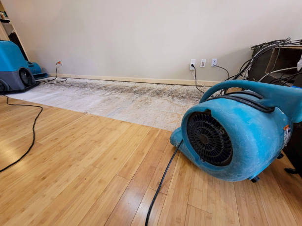 Professional Flood Damage Cleanup technician working in Ethel, WV